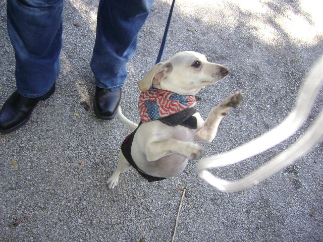 Clark's 4-20-08 041.jpg